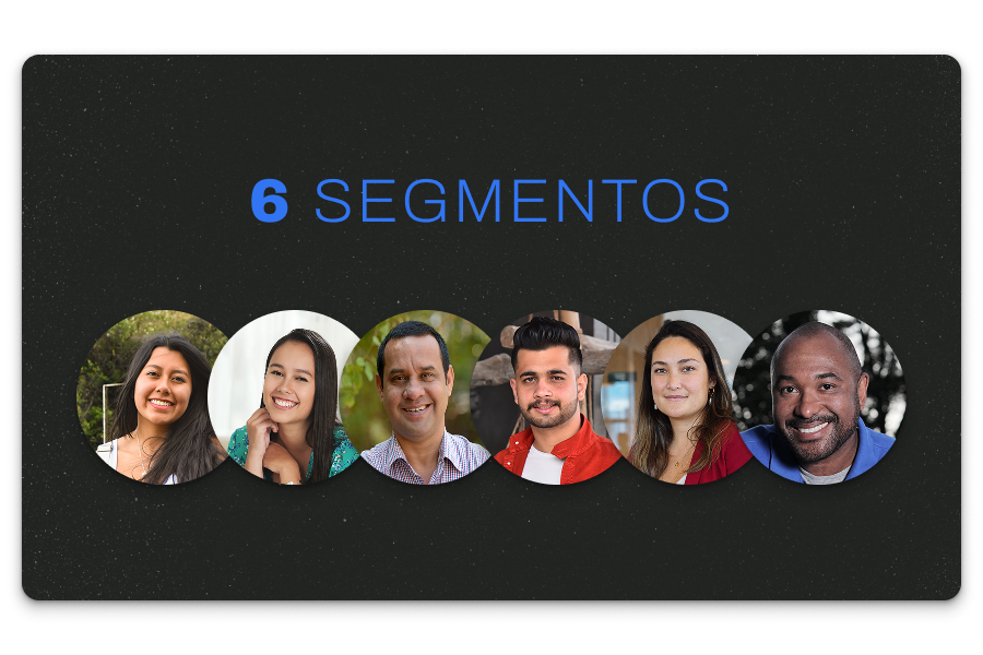 6 user segments